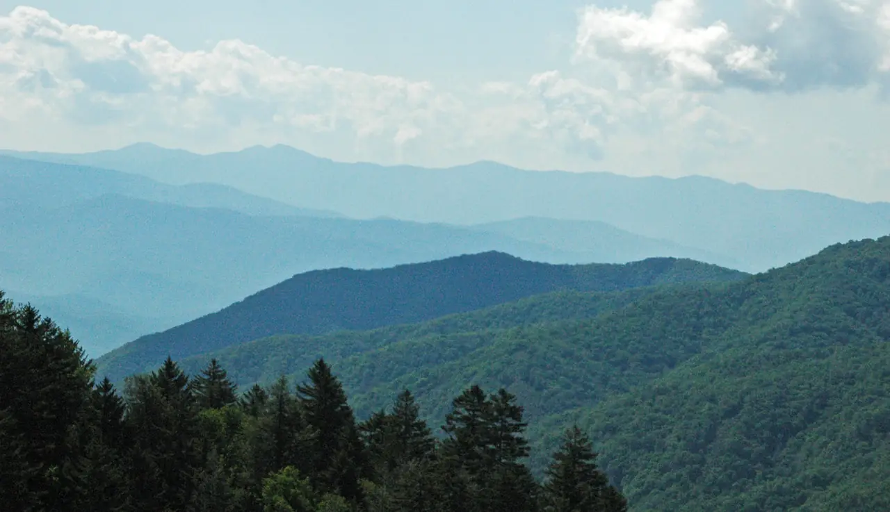 Layered blue ridgelines of the Great Smoky Mountains fading into haze, with dark spruce in the foreground